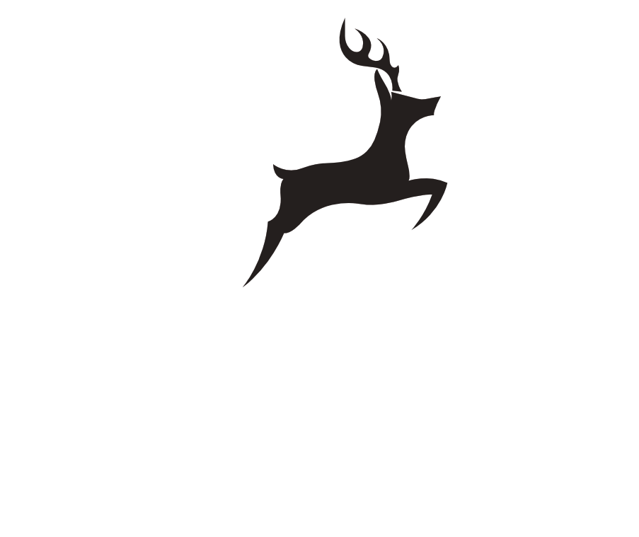 WILDCARD X
